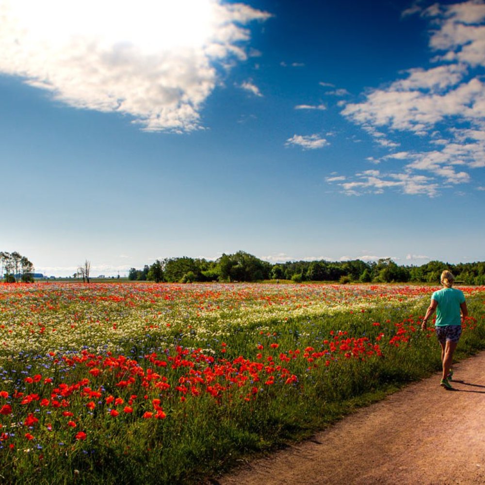 Vadstena monastery hotel hike