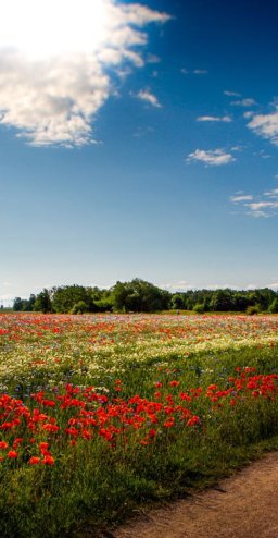 Vadstena monastery hotel hike