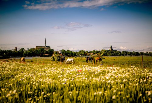 Vadstena monastery hotel summer 1