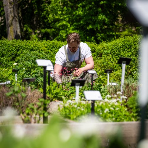 CS Vadstenaklosterhotel 14maj 2025 2