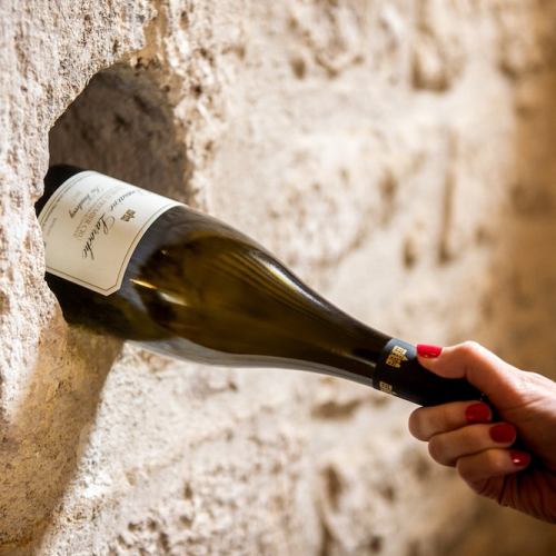 A42e65c7 7538 4aaa acf4 d54cd673578a