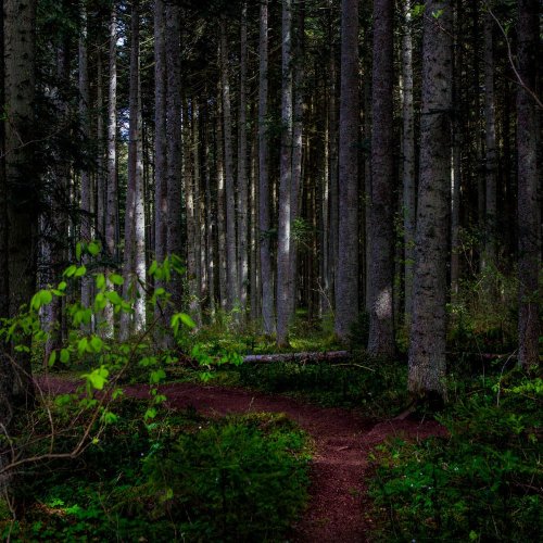 Vadstena monastery hotel hiking package 25