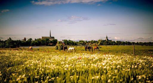 Vadstena monastery hotel summer 1