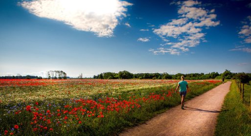 Vadstena monastery hotel hike