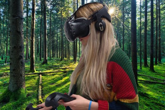 Vrstugan conference