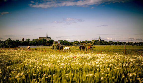 Vadstena monastery hotel summer 1