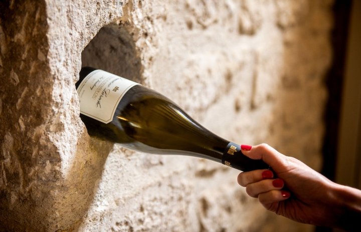 A42e65c7 7538 4aaa acf4 d54cd673578a