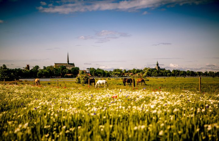 Vadstena monastery hotel summer 1