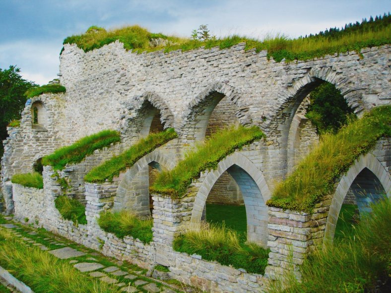 Alvastra monastery web