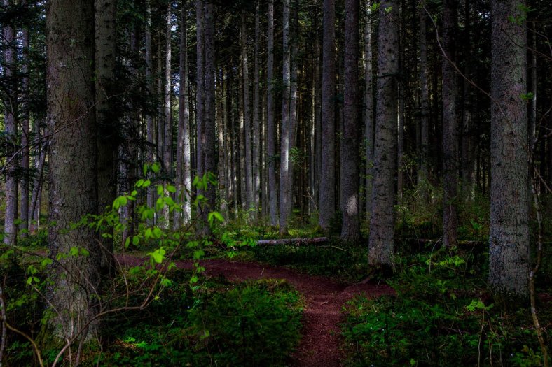 Vadstena monastery hotel hiking package 25